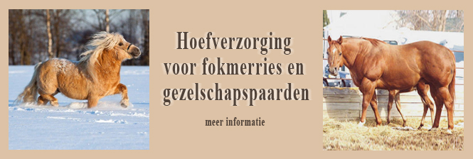 hoefverzorging voor fokmerries en gezelschapspaarden