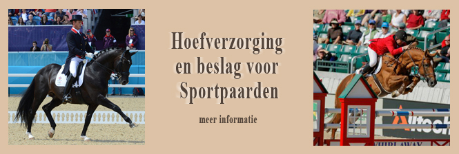 traditioneel sportpaardenbeslag